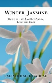 Cover von Winter Jasmine
