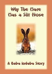 Cover von Why the Hare Has A Slit Nose