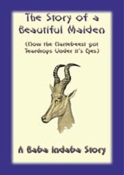 Cover von The Story of a Beautiful Maiden