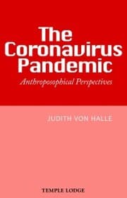 Cover von The Coronavirus Pandemic