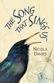 Cover von The Song that Sings Us