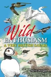 Cover von Wild Enthusiasm