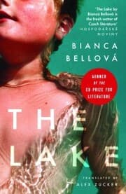 Cover von The Lake