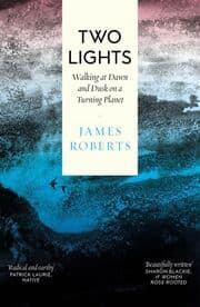 Cover von Two Lights