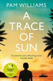 Cover von A Trace of Sun