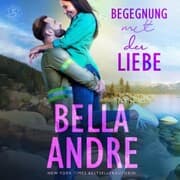 Cover von Begegnung mit der Liebe (Die Sullivans 3)