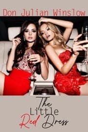 Cover von The Little Red Dress