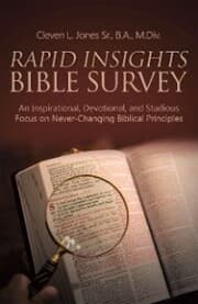 Cover von Rapid Insights Bible Survey