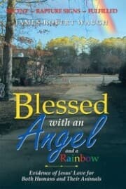Cover von Blessed with an Angel and a Rainbow