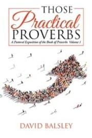 Cover von Those Practical Proverbs