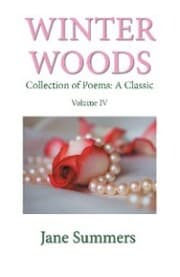 Cover von Winter Woods