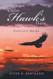 Cover von Under Hawk'S Gaze