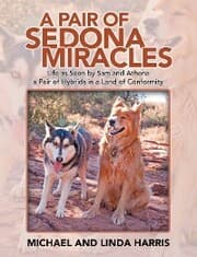 Cover von A Pair of Sedona Miracles