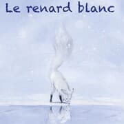 Cover von Le renard blanc