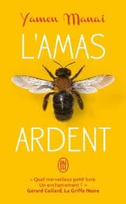 Cover von L'amas ardent