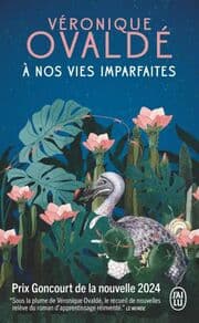 Cover von Á nos vies imparfaites