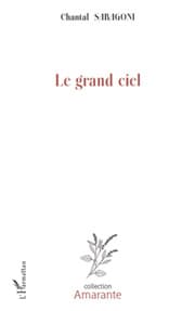 Cover von Le grand ciel