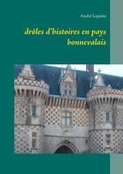 Cover von drôles d'histoires en pays bonnevalais