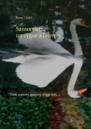 Cover von Sansonnets, un cygne à l'envers
