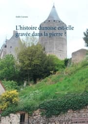 Cover von L'histoire dunoise est-elle gravée dans la pierre ?