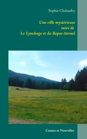 Cover von Une ville mystérieuse