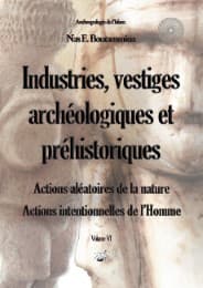 Cover von Industries, vestiges archéologiques et préhistoriques - Action aléatoire de la nature & Action intentionnelle de l'Homme - Volume VI