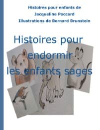Cover von Histoires pour endormir les enfants sages