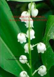 Cover von CRÉATION D'UN TALISMAN... le coup de pouce à votre SOUHAIT !
