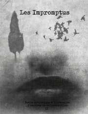 Cover von Les Impromptus, tome II