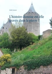 Cover von L'histoire dunoise est-elle gravée dans la pierre ?