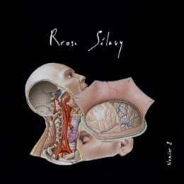 Cover von Rrose sélavy n 2