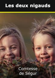 Cover von Les deux nigauds