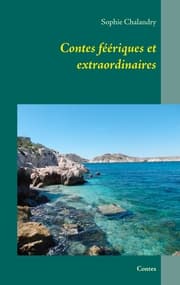 Cover von Contes féériques et extraordinaires