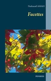 Cover von Facettes