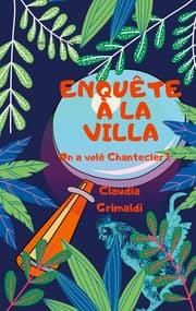 Cover von Enquête à la Villa