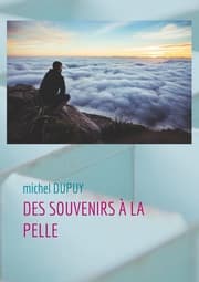 Cover von Des souvenirs à la pelle
