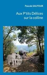 Cover von Aux P'tits Délices sur la colline