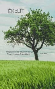 Cover von ÉK::LÏT