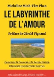 Cover von Le Labyrinthe de l'Amour