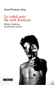 Cover von Le soleil noir du rock français