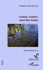 Cover von Assises, éclairs, marches lentes
