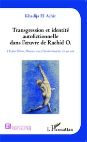 Cover von Transgression et identité autofictionnelle dans l'oeuvre de Rachid O.