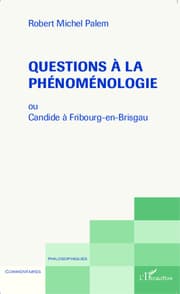 Cover von Questions à la phénoménologie