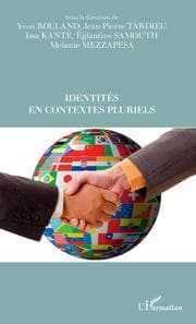 Cover von Identités en contextes pluriels