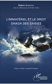 Cover von L'immatériel et le droit OHADA des saisies