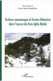 Cover von Ecriture romanesque et formes littéraires dans l'oeuvre de Ezza Agha Malak