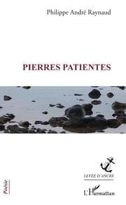 Cover von Pierres patientes