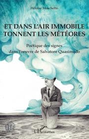 Cover von Et dans l'air immobile tonnent les météores