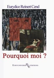 Cover von Pourquoi moi ? (roman)