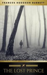 Cover von The Lost Prince